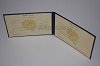 Стоимость диплома техникума УзбекАССР 1975-1991 г. в Демидове (Смоленская Область)