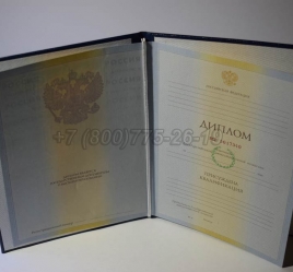 Диплом Института 2010г в Смоленске